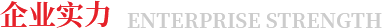 企業實力